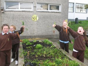 School Garden
