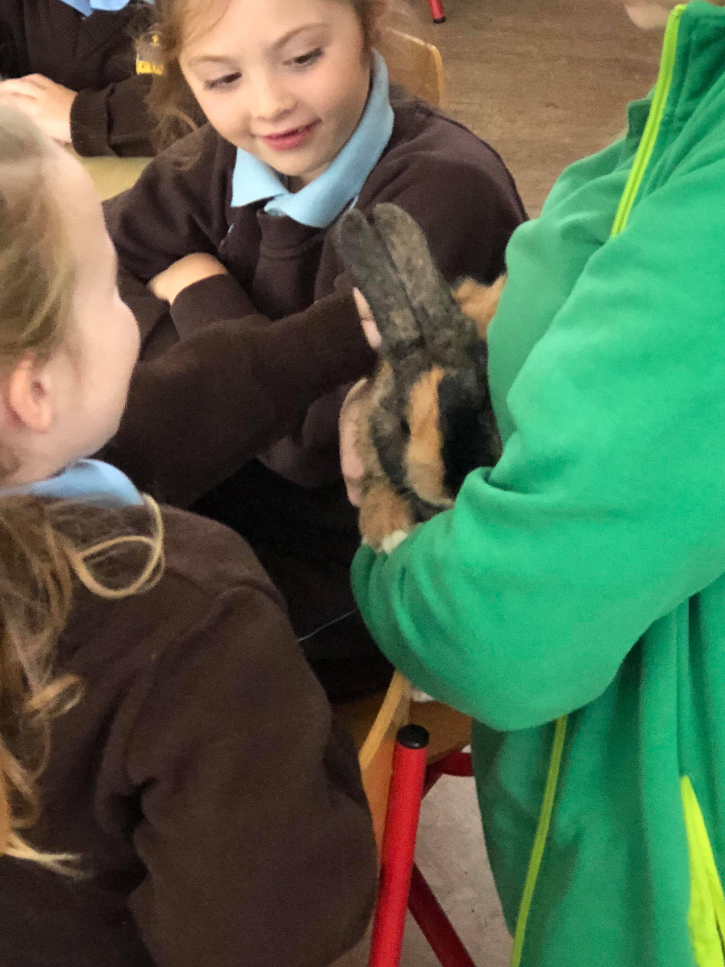 Maxi Zoo Presentation Primary School Waterford